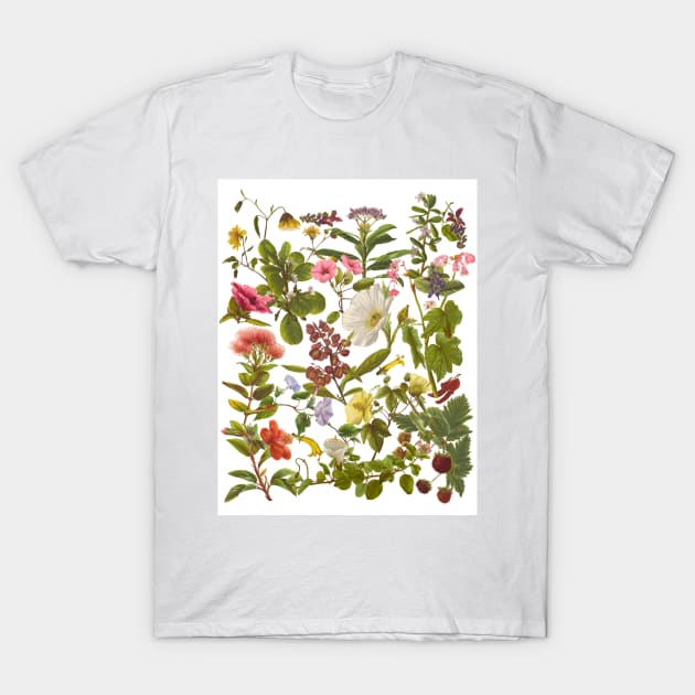 Native Hawaiian Flowers Botanical Design T-Shirt by peachycrossing